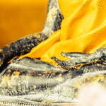 Bodhgaya Buddhist pilgrimage cost